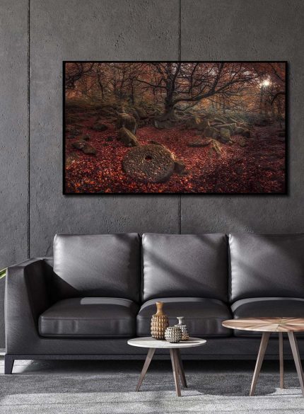 Forest Autumn - Peak District