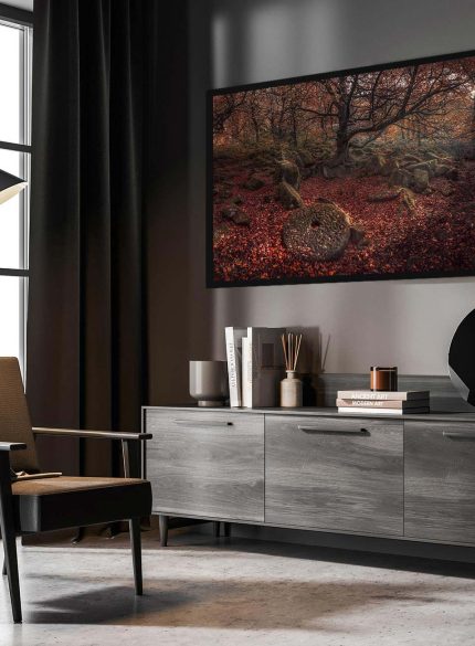 Forest Autumn - Peak District