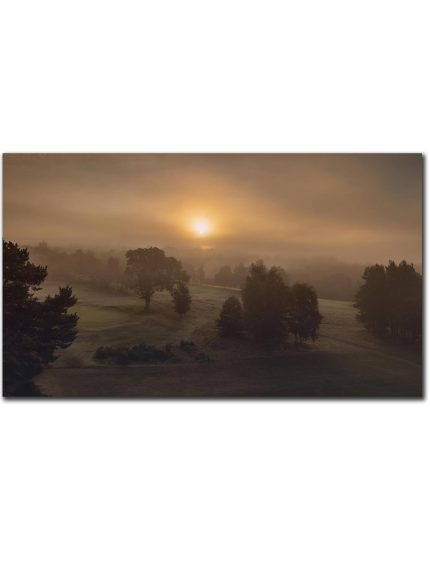 Morning in the fog