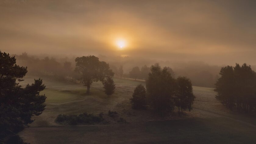 Morning in the fog - Image 3