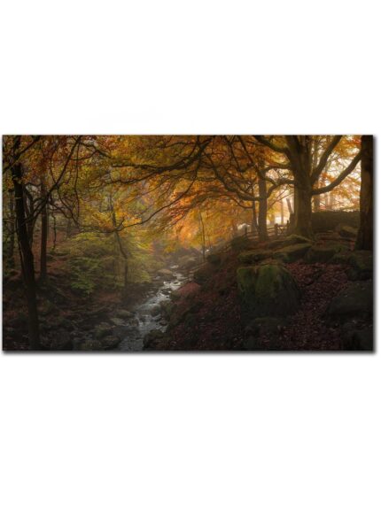 Padley Gorge misty sunrise