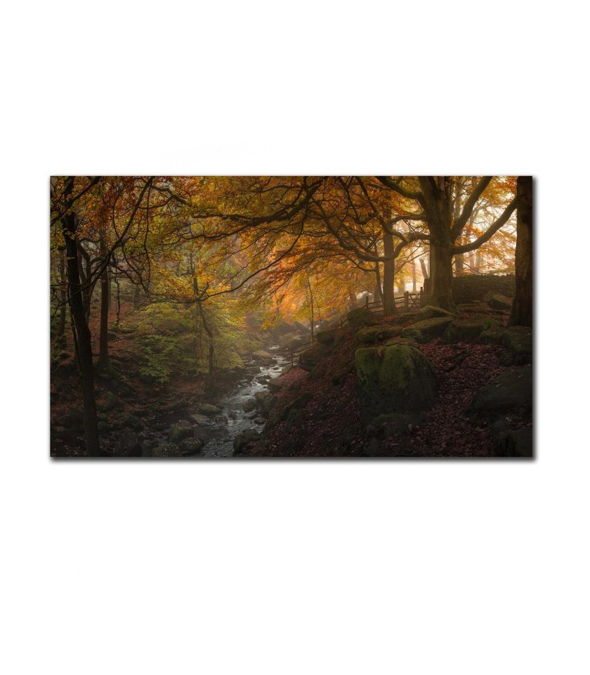 Padley Gorge misty sunrise