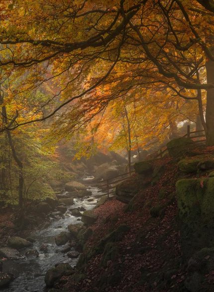 Padley Gorge misty sunrise