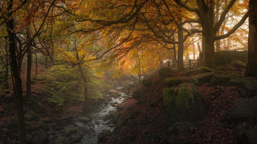 Padley Gorge misty sunrise - Image 4