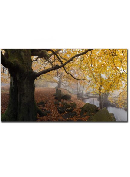 Padley Gorge, Bridge