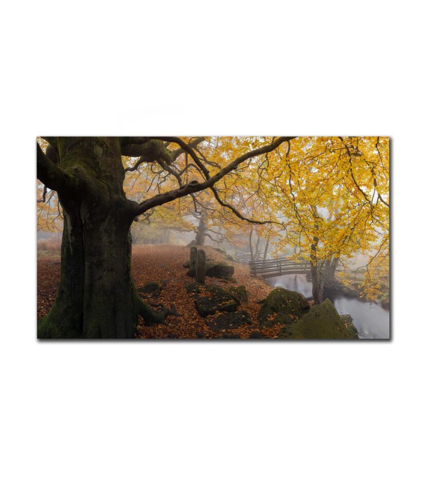Padley Gorge, Bridge