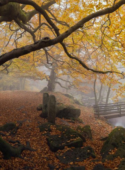 Padley Gorge, Bridge