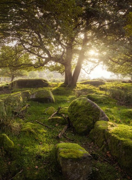 Forest Padley Gorge