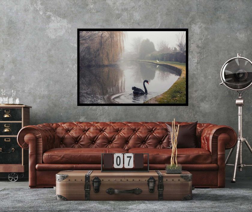 Black Swan - Image 5