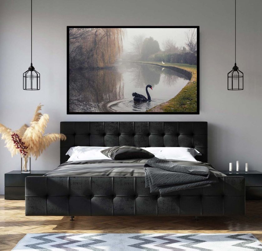 Black Swan - Image 2