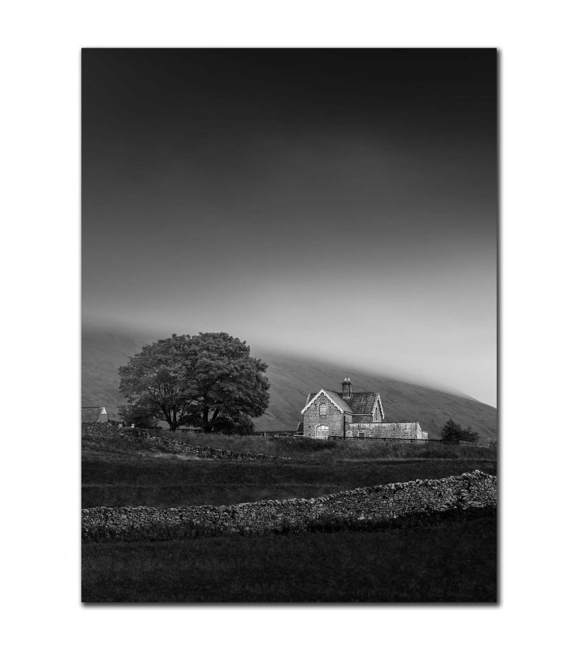 Lonely House