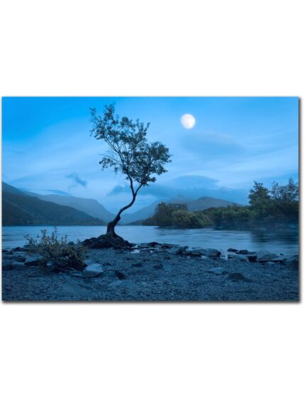 Blue Llyn Padarn
