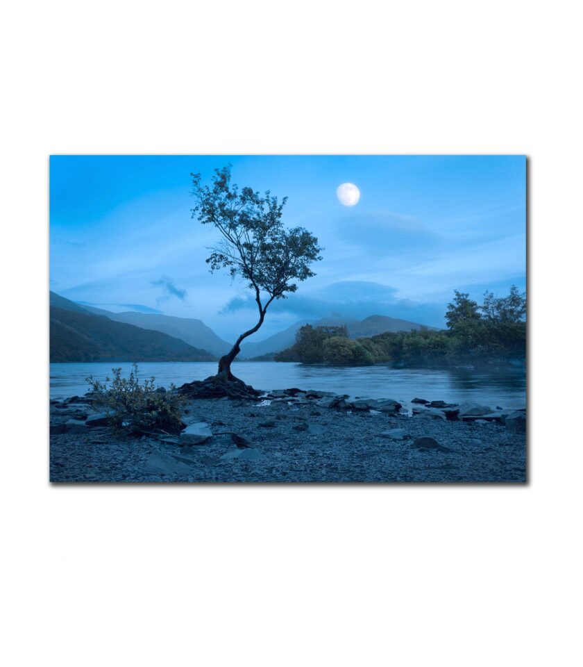 Blue Llyn Padarn
