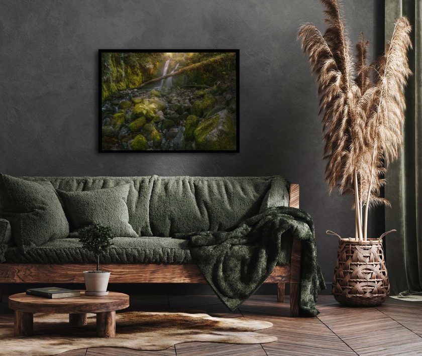 Green Forest - Image 4