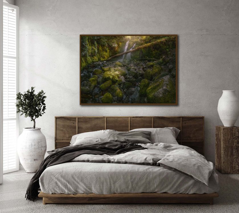 Green Forest - Image 2
