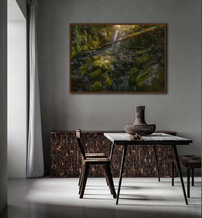 Green Forest - Image 6