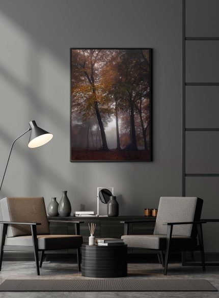 Forest Padley Gorge IV