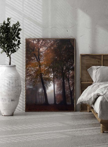 Forest Padley Gorge IV