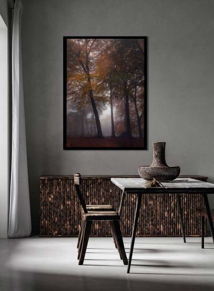 Forest Padley Gorge IV