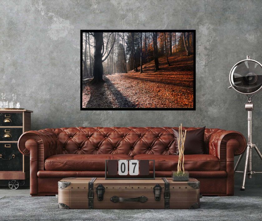 Autumn Forest - Image 2