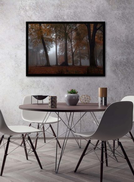 Forest Padley Gorge IV