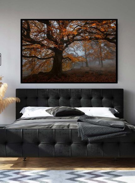 Forest Padley Gorge I