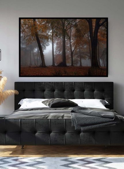 Forest Padley Gorge IV