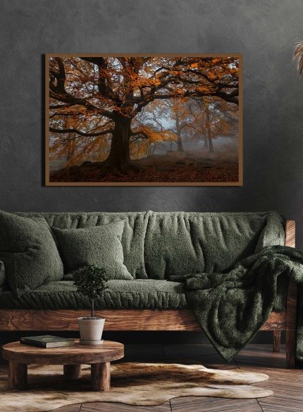 Forest Padley Gorge I