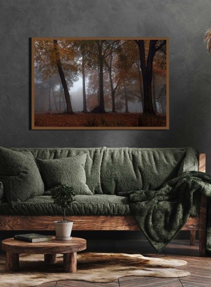 Forest Padley Gorge IV