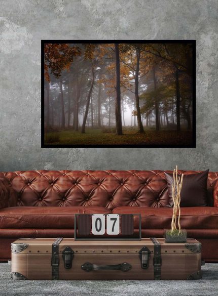 Forest Padley Gorge III