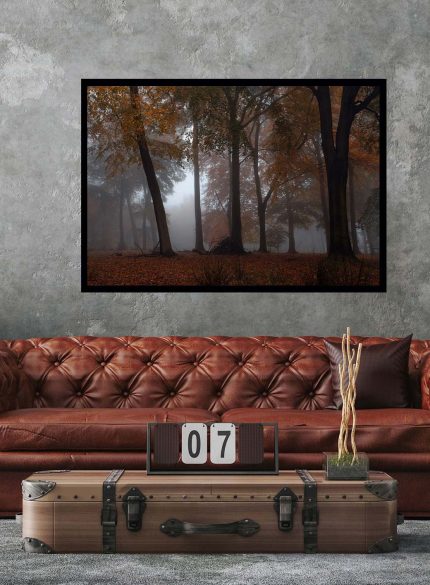 Forest Padley Gorge IV