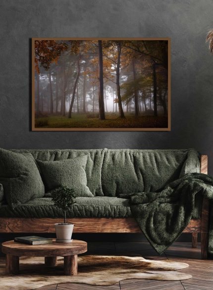 Forest Padley Gorge III