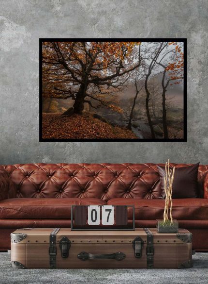 Forest Padley Gorge II