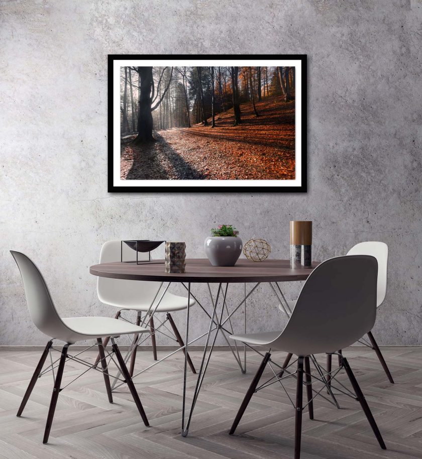 Autumn Forest - Image 6