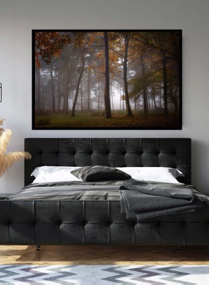 Forest Padley Gorge III