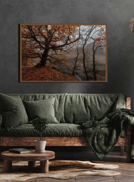 Forest Padley Gorge II