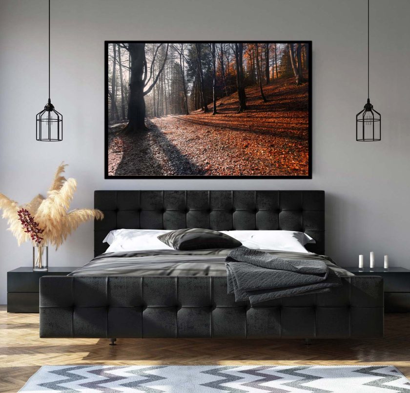 Autumn Forest - Image 5