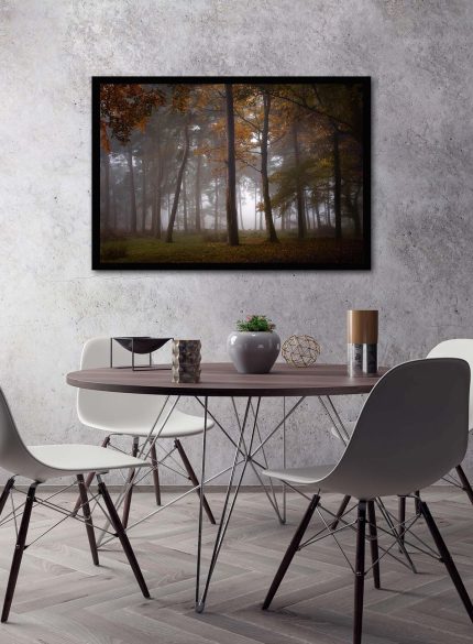 Forest Padley Gorge III