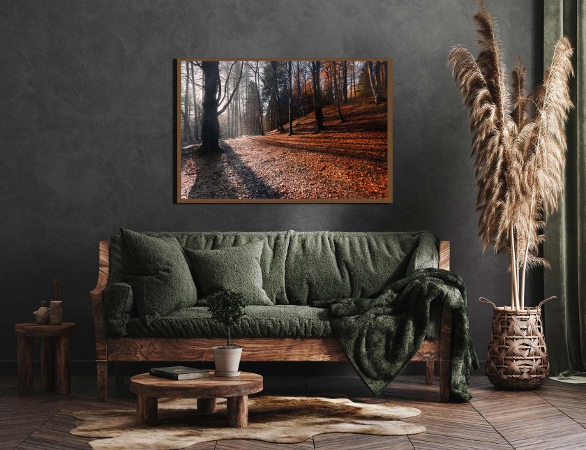Autumn Forest - Image 4