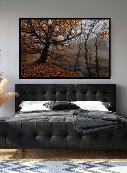 Forest Padley Gorge II