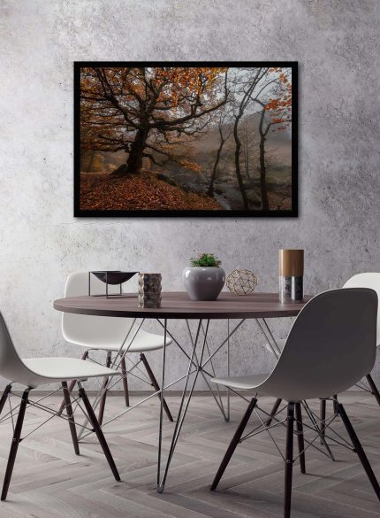 Forest Padley Gorge II