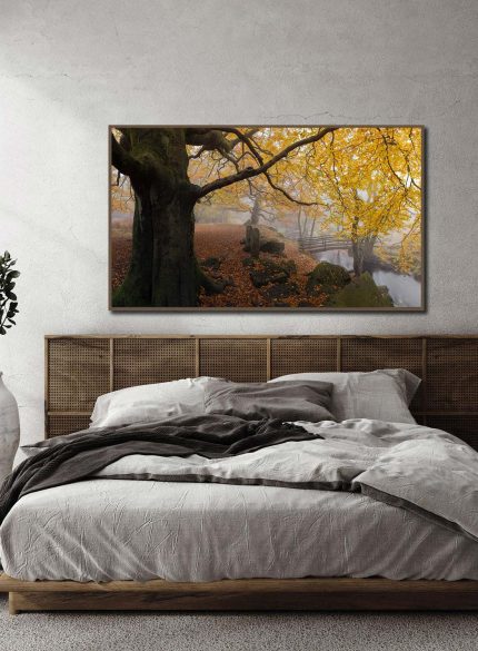 Padley Gorge, Bridge