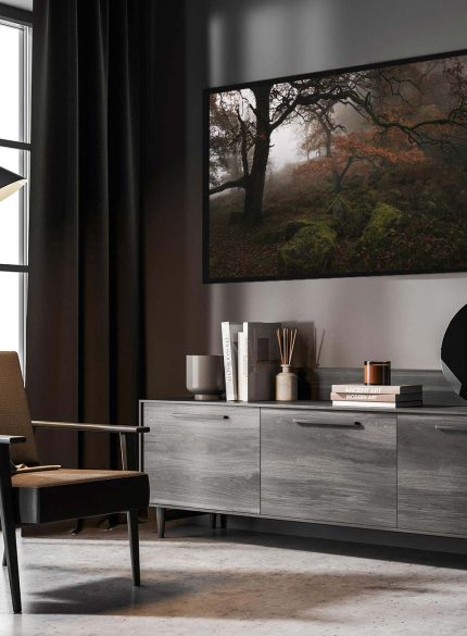 Padley Gorge Misty Forest