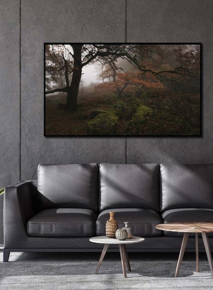 Padley Gorge Misty Forest