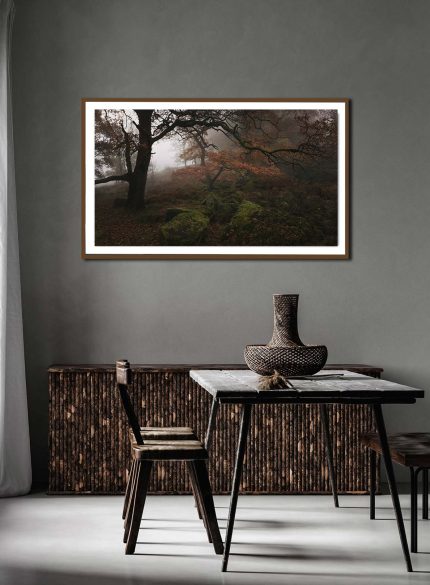 Padley Gorge Misty Forest