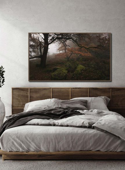 Padley Gorge Misty Forest