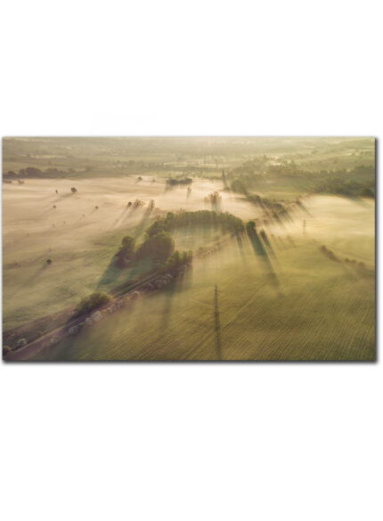 Misty Landscape I