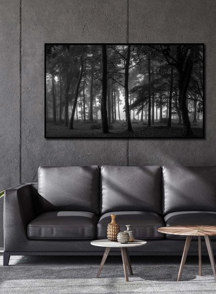 Dark Forest - Peak District