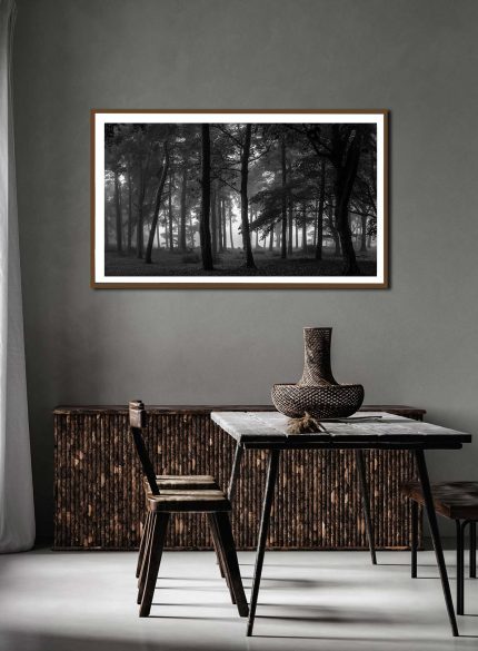 Dark Forest - Peak District