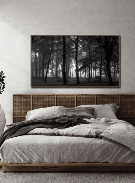 Dark Forest - Peak District